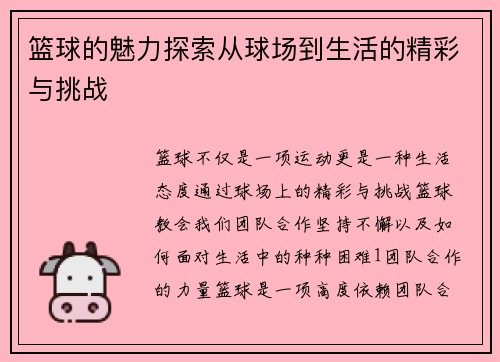 篮球的魅力探索从球场到生活的精彩与挑战